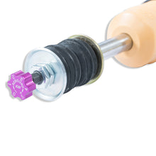 Load image into Gallery viewer, User 5