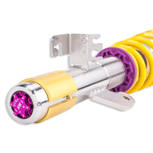 Cargar imagen en el visor de la galería, User 5