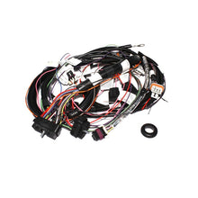 Cargar imagen en el visor de la galería, FAST Wiring Harness XIM For LS1