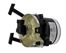 Cargar imagen en el visor de la galería, Photo - Unmounted