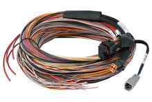 Cargar imagen en el visor de la galería, Haltech PD16 Flying Lead Harness 5M