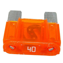 Cargar imagen en el visor de la galería, Photo - Primary