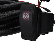 Load image into Gallery viewer, Photo - Unmounted