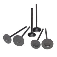 Cargar imagen en el visor de la galería, Skunk2 Pro Series Honda/Acura Stock Size B Series DOHC VTEC Intake Valve (Standard Compression)