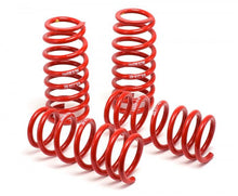 Cargar imagen en el visor de la galería, H&amp;R 07-10 Ford GT500/GT500 Convertible V8 Race Spring