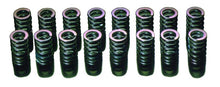 Cargar imagen en el visor de la galería, HKS 03-06 Lancer Evolution / 89-99 Eclipse / 90-93 Galant Turbo / 89-98 Eagle Talon Turbo Valve Spri