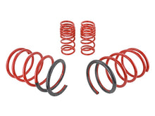 Cargar imagen en el visor de la galería, Skunk2 02-05 Honda Civic Si Hatchback Lowering Springs (2.25in - 2.00in.) (Set of 4)