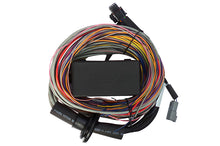 Cargar imagen en el visor de la galería, Haltech Elite 750 8ft Premium Universal Wire-In Harness
