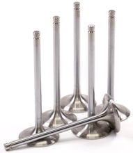 Cargar imagen en el visor de la galería, GSC P-D Can-Am Maverick Turbo 29mm Head STD 84.3mm Long Intake Valve - Set of 6