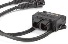 Cargar imagen en el visor de la galería, Haltech WB2 Dual Channel CAN O2 Wideband Controller Kit