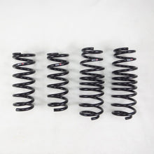 Cargar imagen en el visor de la galería, RS-R 2017-2022 Honda Civic Type R (FK8) Super Down Sus Springs