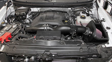 Cargar imagen en el visor de la galería, K&amp;N 11-14 Ford F-150 3.5L V6 Performance Intake Kit