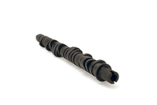 Cargar imagen en el visor de la galería, Skunk2 Tuner Series D-Series Honda Stage 4 Camshaft