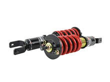 Load image into Gallery viewer, Skunk2 92-95 Honda Civic / 94-01 Acura Integra Pro-ST Coilovers (Front 10 kg/mm - Rear 10 kg/mm)