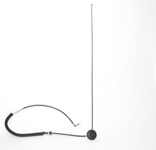 Cargar imagen en el visor de la galería, DV8 Offroad 1997-06 Jeep TJ Replacement Antenna Black