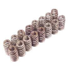 Cargar imagen en el visor de la galería, Ford Racing BOSS 302R Valve Spring Kit