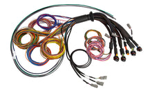 Cargar imagen en el visor de la galería, Haltech NEXUS R5 Universal Wire-In Harness - 2.5M (8ft)