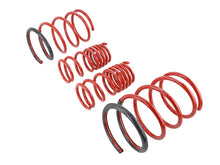 Cargar imagen en el visor de la galería, Skunk2 02-05 Honda Civic Si Hatchback Lowering Springs (2.25in - 2.00in.) (Set of 4)