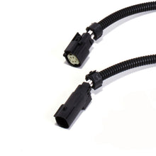 Cargar imagen en el visor de la galería, BBK 18-20 Ford Mustang GT O2 Sensor Wire Harness Extensions 16in (Pair)