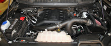 Cargar imagen en el visor de la galería, K&amp;N 15-16 Ford F-150 3.5L V6 F/I Performance Intake Kit