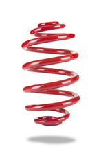 Cargar imagen en el visor de la galería, Pedders Rear Coil Spring 04-06 Pontiac GTO X-Drag