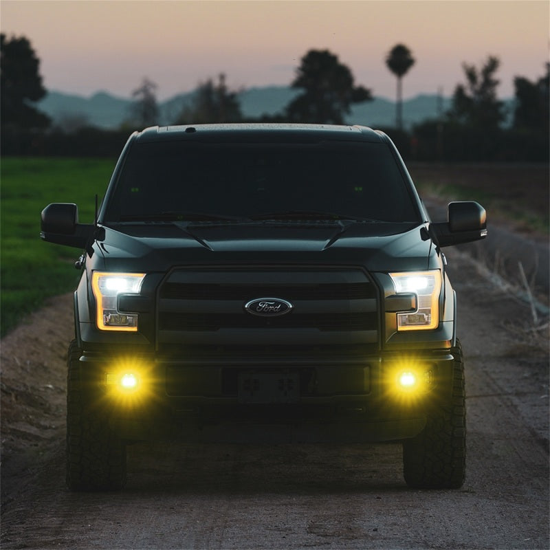 Rigid Industries DOT/SAW Fog Light Set (D-Series)