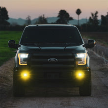 Cargar imagen en el visor de la galería, Rigid Industries D-Series SAE Fog Yellow/White Pair