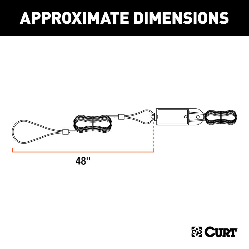 Curt Breakaway Switch