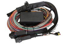 Cargar imagen en el visor de la galería, Haltech Elite 1500 8ft Premium Universal Wire-In Harness