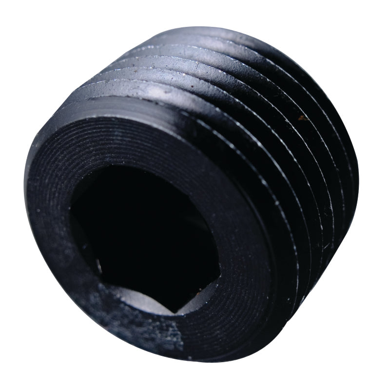 Fragola 1/16 NPT Pipe Plug- Internal Black