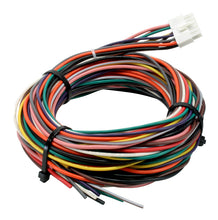 Cargar imagen en el visor de la galería, AEM Wiring Harness for V2 Controller w/ Multi Input