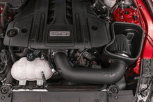 Cargar imagen en el visor de la galería, K&amp;N 18-23 Ford Mustang GT 5.0L V8 F/I Dryflow Performance Air Intake System