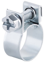 Cargar imagen en el visor de la galería, Radium Engineering Spring Clamp 1/4 Hose