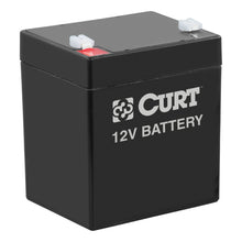 Cargar imagen en el visor de la galería, Curt Breakaway Battery