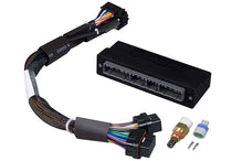 Cargar imagen en el visor de la galería, Haltech 92-95 Honda Civic/Integra (OBD-I B-Series) Elite 1000/1500 Plug-n-Play Adaptor Harness