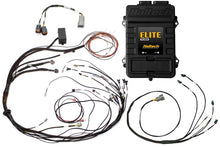 Cargar imagen en el visor de la galería, Haltech Elite 1500 Terminated Harness ECU Kit w/ Square EV1 Injector Connectors