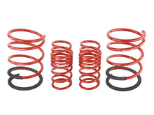 Cargar imagen en el visor de la galería, Skunk2 02-04 Acura RSX Lowering Springs (2.25in - 2.00in.) (Set of 4)