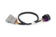 Cargar imagen en el visor de la galería, Haltech NEXUS Rebel LS 8-Pin DBW Adaptor (Plug-n-Play w/HT-186500)