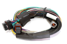 Cargar imagen en el visor de la galería, Haltech Elite 2500 Basic Universal Wire-In Harness ECU Kit