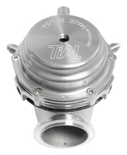 Cargar imagen en el visor de la galería, TiAL Sport MVR Wastegate 44mm (All Springs) w/Clamps - Silver