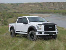 Cargar imagen en el visor de la galería, EGR 15+ Ford F150 Superguard Hood Shield - Matte (303475)