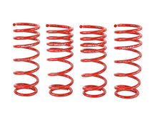 Cargar imagen en el visor de la galería, Skunk2 00-04 Honda S2000 Lowering Springs (2.00in. - 1.80in.) (Set of 4)