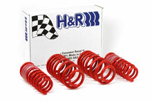 Cargar imagen en el visor de la galería, H&amp;R 96-01 Audi A4 Quattro (AWD) B5 Race Spring