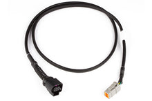 Cargar imagen en el visor de la galería, Haltech LSU4.9 Wideband Adaptor Harness LSU4.9 to DTM6