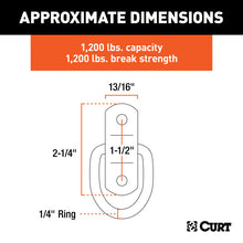 Load image into Gallery viewer, Curt 1in x 1-1/4in Surface-Mounted Tie-Down D-Ring (1200lbs Clear Zinc)