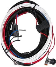 Cargar imagen en el visor de la galería, Rigid Industries 25in Harness with 3 position switch use with D/ SRM or SRQ for Back up Lights