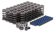 Cargar imagen en el visor de la galería, GSC P-D Audi R8 V10 / Lamborghini Huracan V10 5.2L Valve Spring &amp; Ti Retainer Kit (w/Seats &amp; Seals)