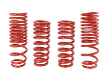 Load image into Gallery viewer, Skunk2 90-93 Acura Integra Lowering Springs (2.50in - 2.25in.) (Set of 4)