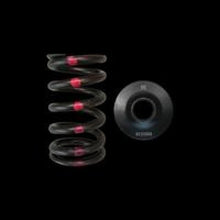 Cargar imagen en el visor de la galería, Brian Crower Nissan SR20DE/DET Single Spring &amp; Steel Retainer Kit
