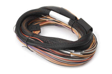 Cargar imagen en el visor de la galería, Haltech IO 12 Expander Box 8ft Flying Lead Harness (A/B Box)